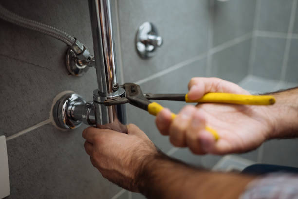 Best Clogged Drain Plumber  in Brillion, WI